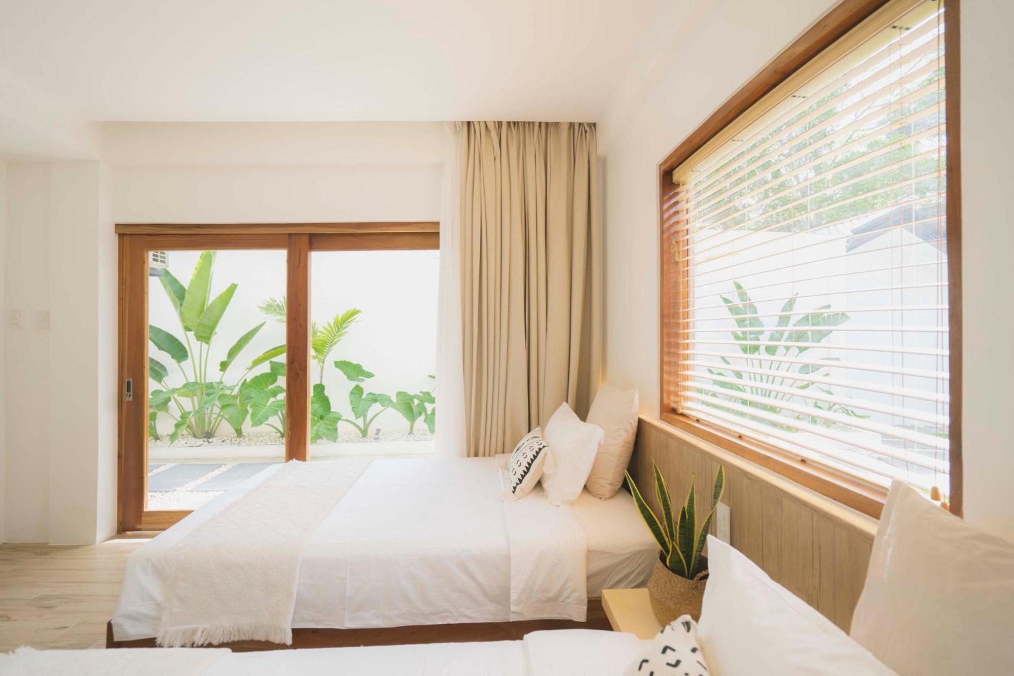 Ultra Mint Dive Resort Panglao Rum bild